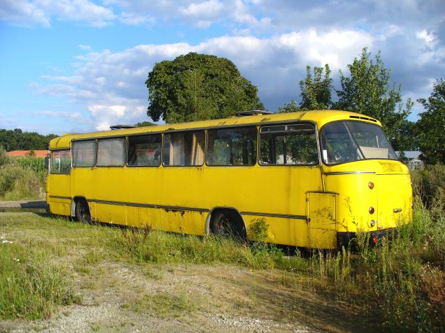 bus 02