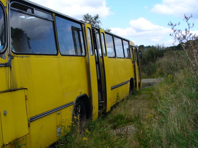 bus 04