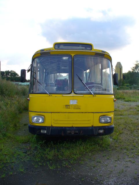 bus 11