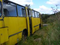 bus 04