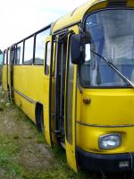 bus 06