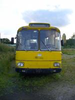 bus 11